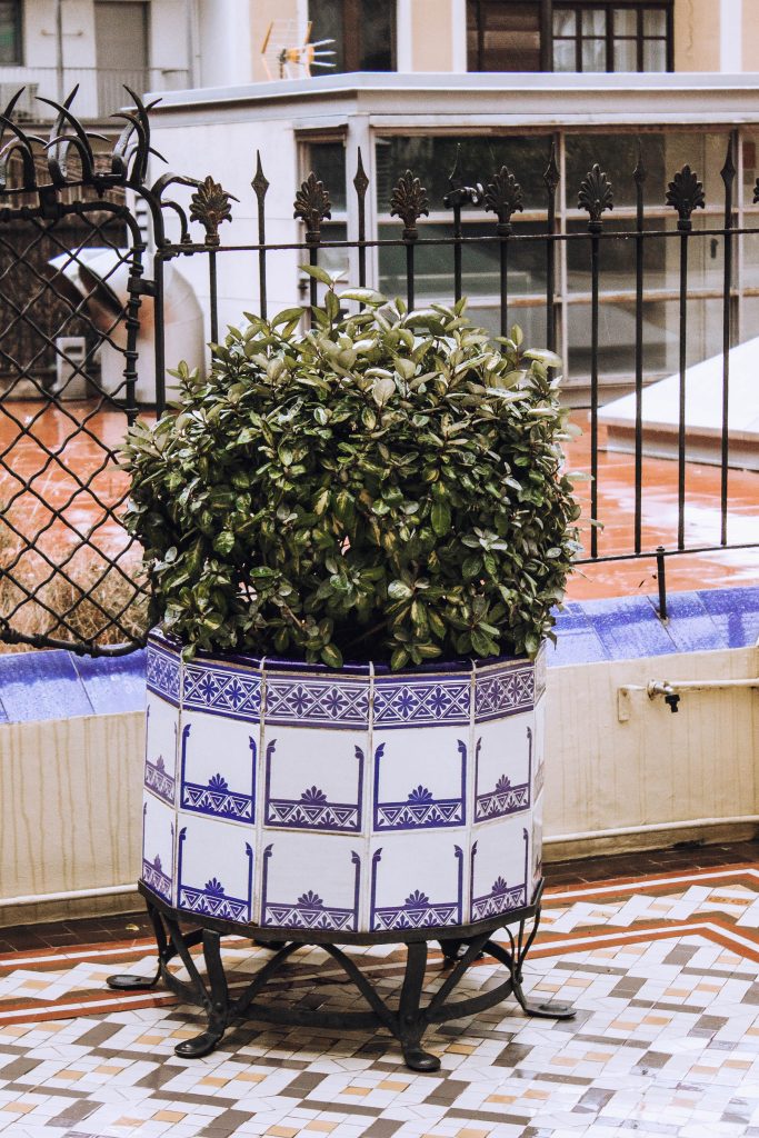 Двор дома Бальо