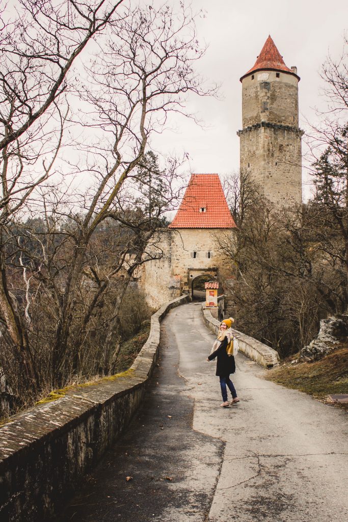 Замок Звиков в Чехии