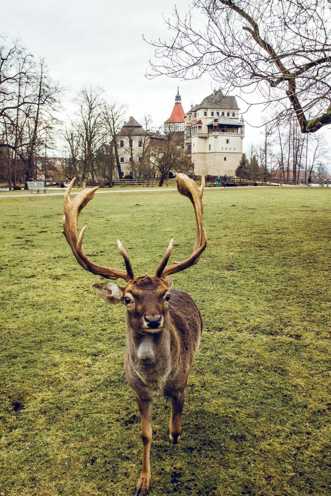 Парк замка Блатна
