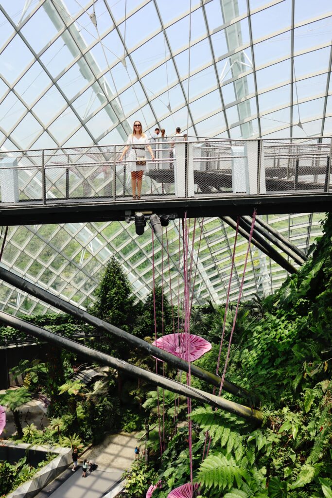 Прогулка по Gardens by the Bay