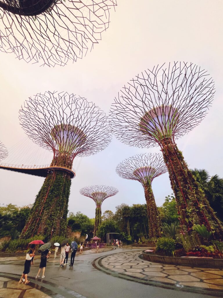 Светящиеся супердеревья в Gardens by the Bay