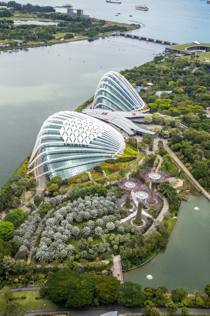 Сингапур за 3 дня — вид со SkyPark